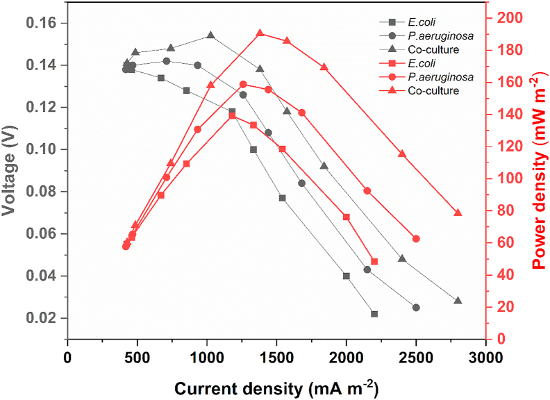 Figure 6