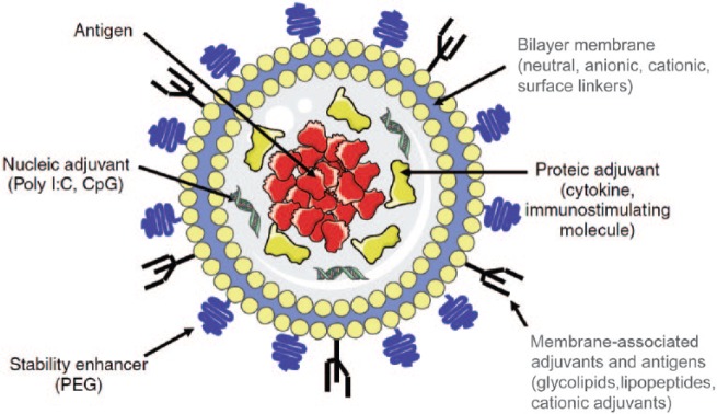 Figure 2.