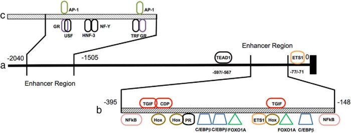 Figure 1.