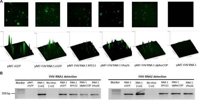 FIGURE 3