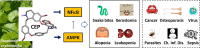Image, graphical abstract