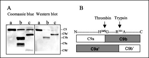 FIG. 5.