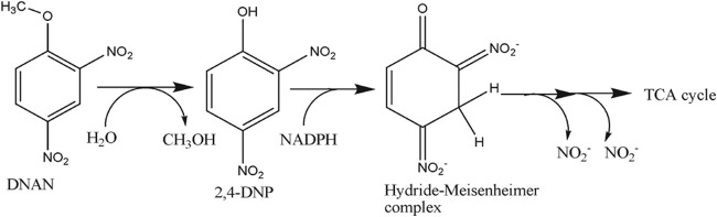 FIG 5