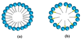 Figure 24