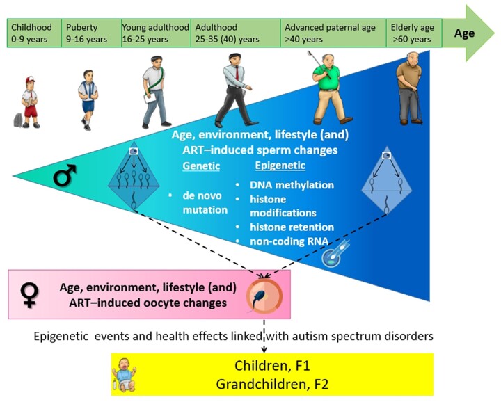 Graphical Abstract