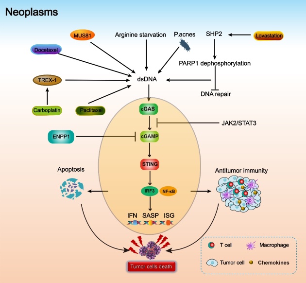 Figure 4.