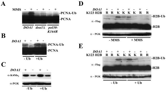 FIG. 7.