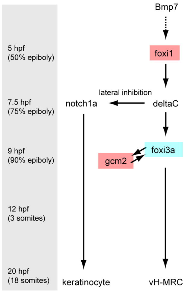 Fig. 10