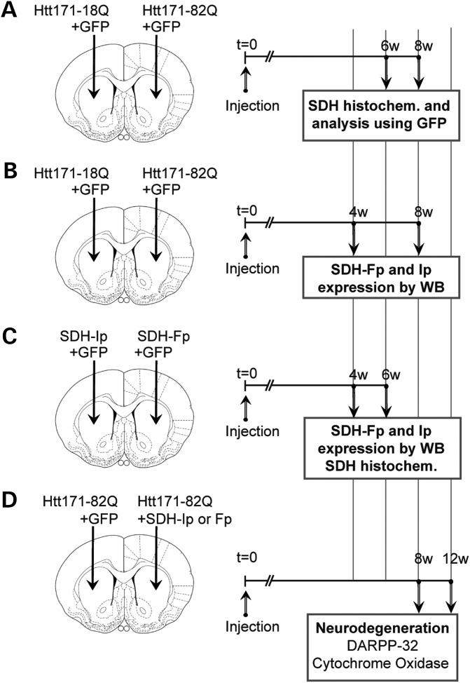 Figure 3.