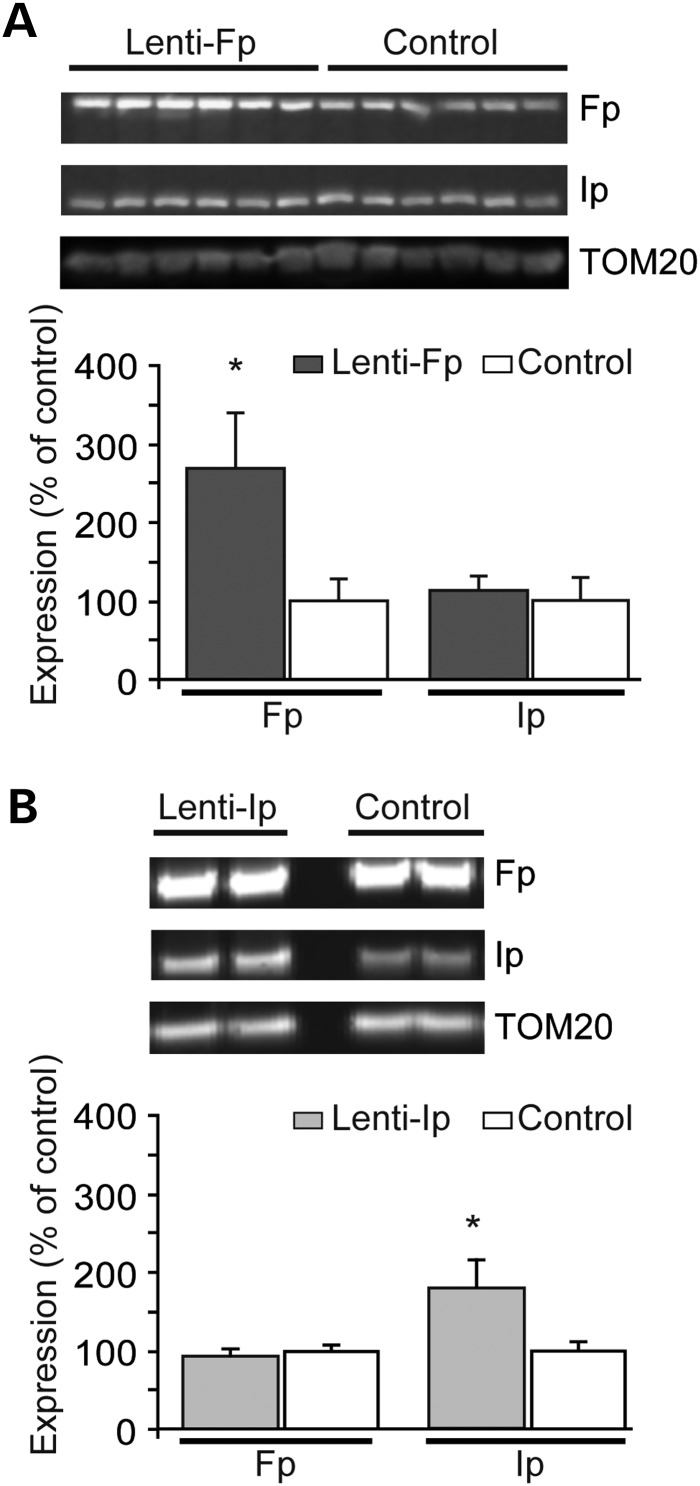 Figure 7.