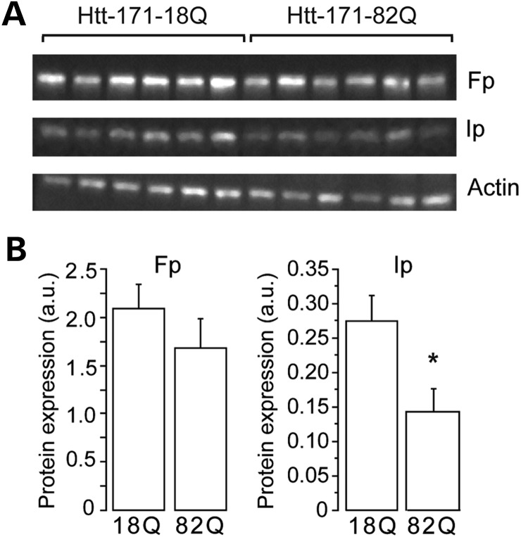 Figure 6.