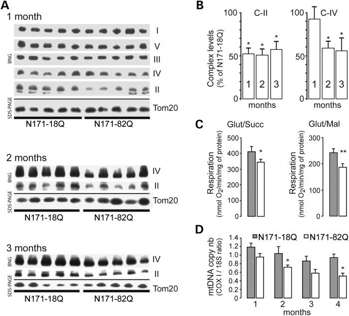 Figure 2.