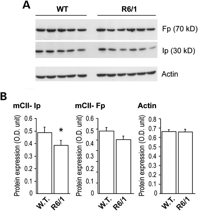 Figure 1.