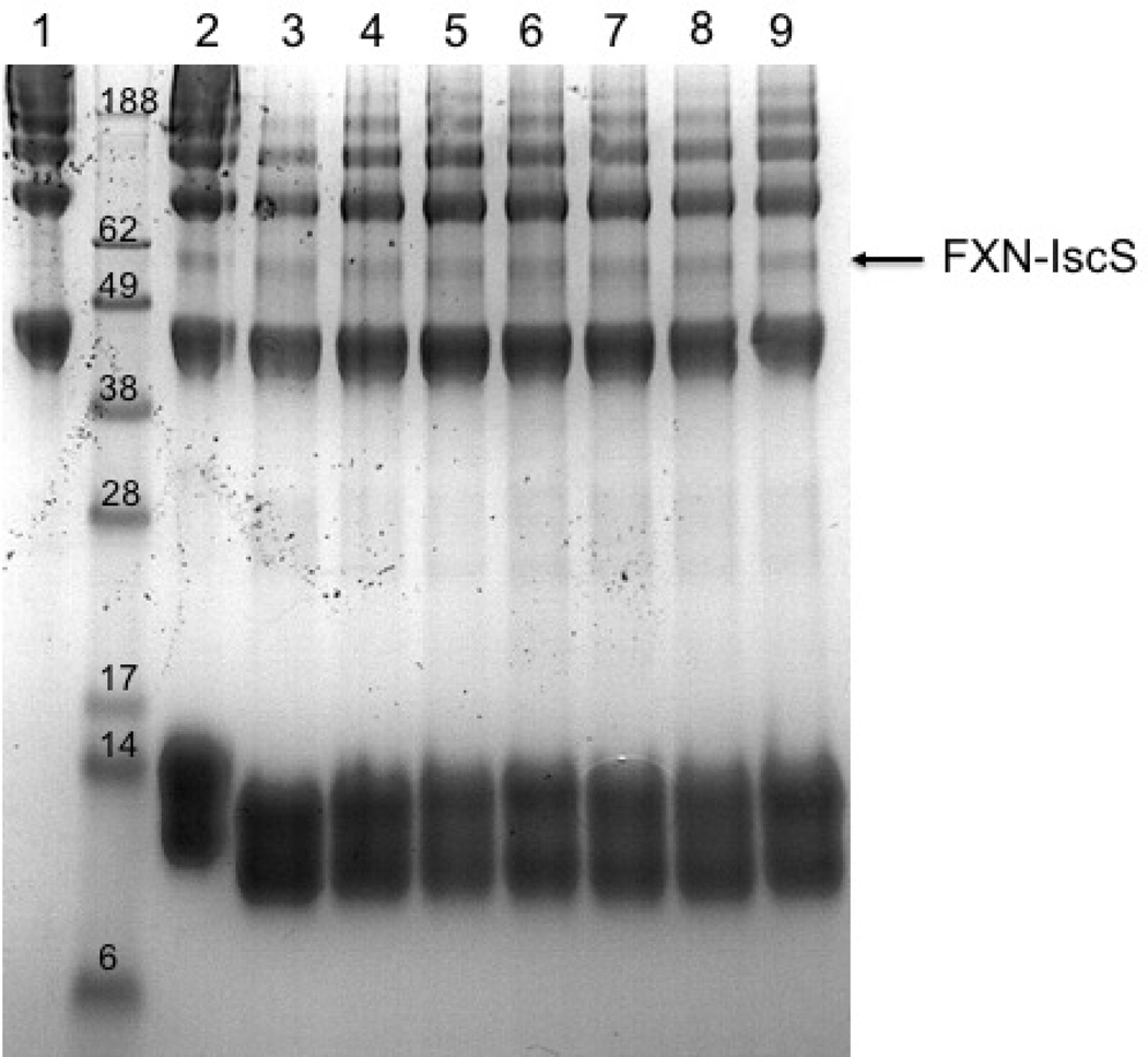 Figure 5.