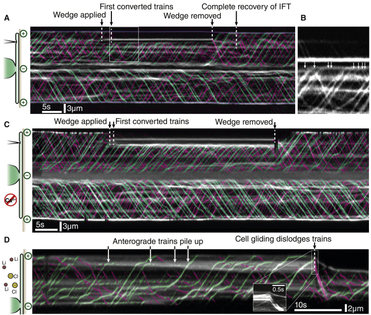 Figure 2