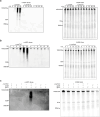 Extended Data Fig. 5