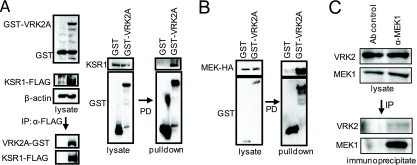 FIG. 7.