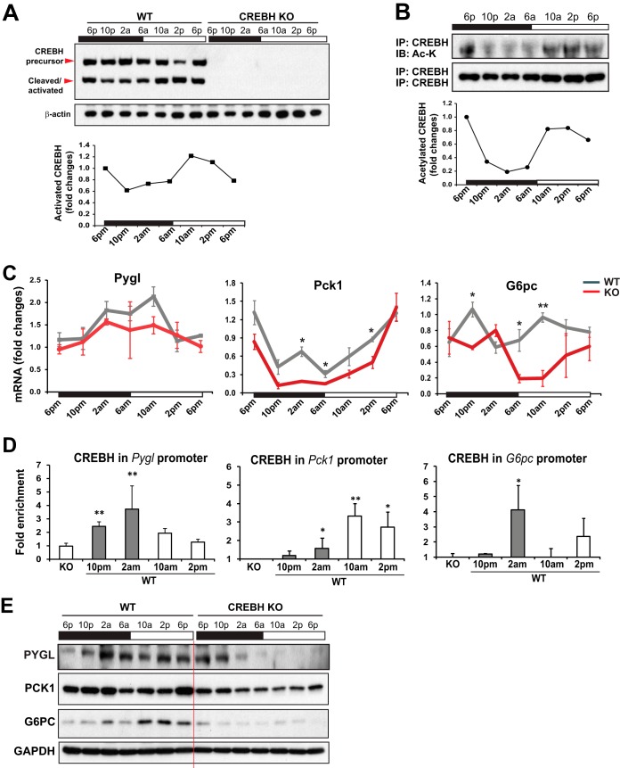 FIG 3