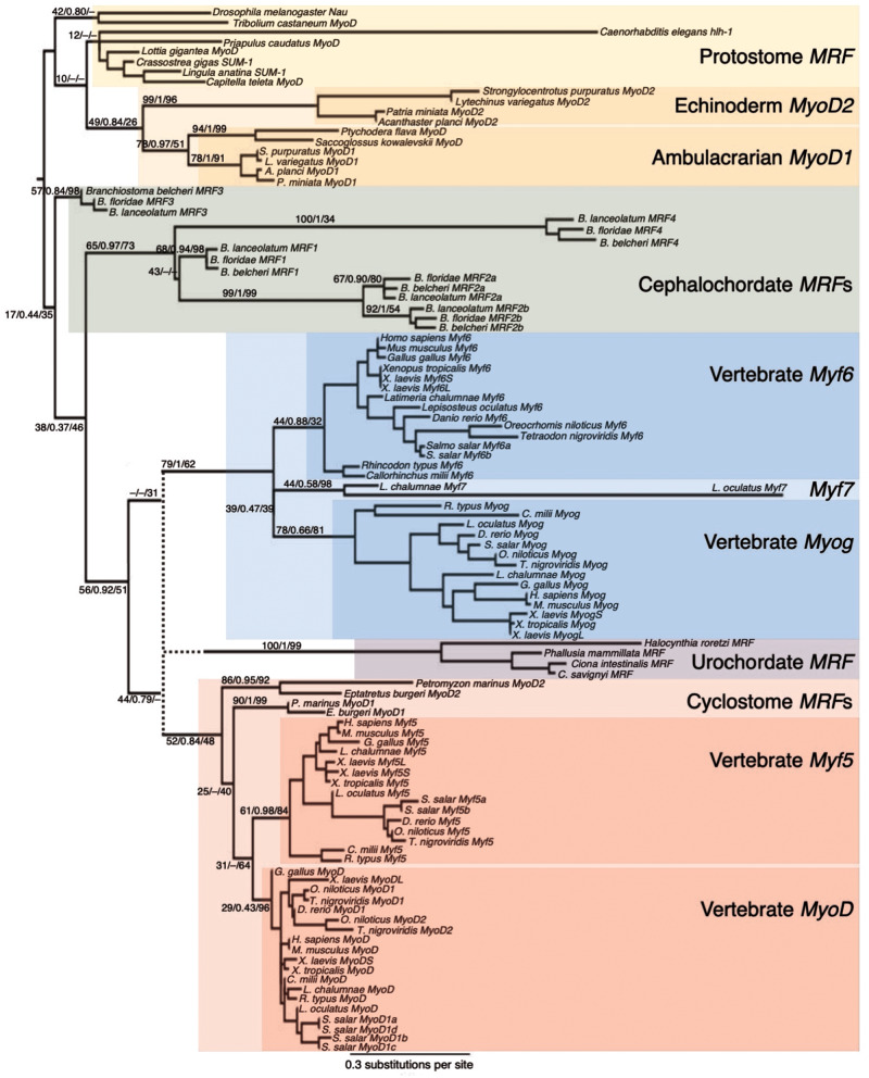 Fig. 3.