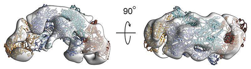 Fig. 2