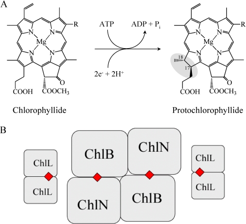 FIGURE 1.