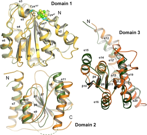 FIGURE 4.