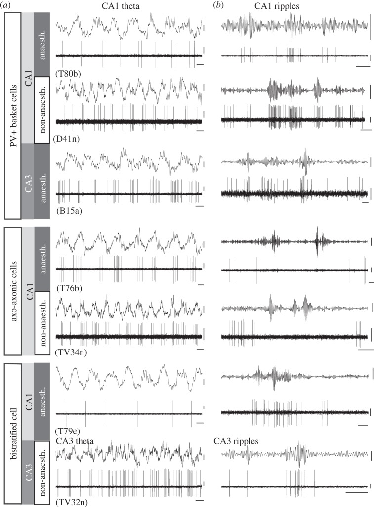 Figure 2.