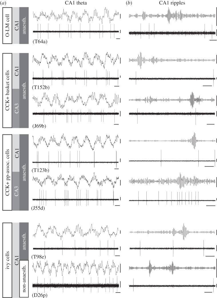 Figure 3.