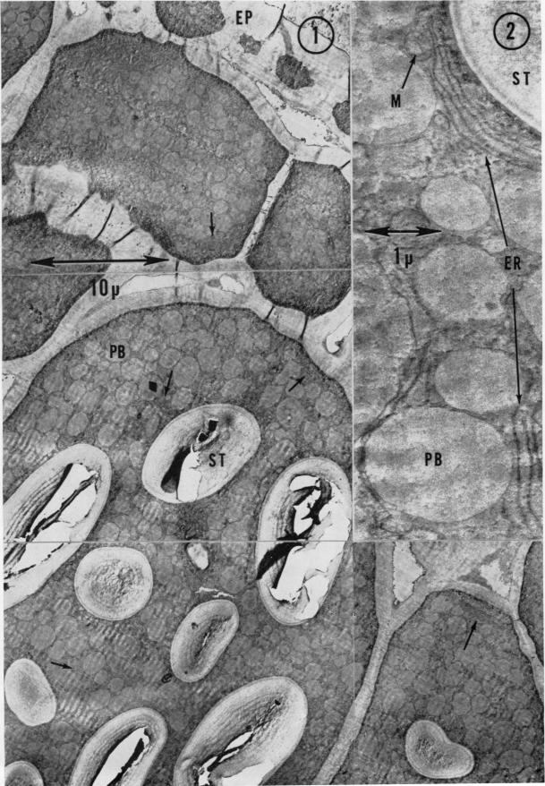 Fig. 1-2