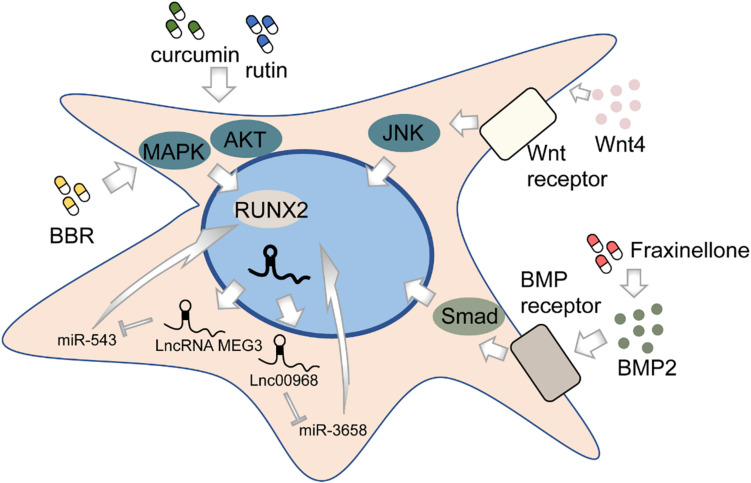 FIGURE 2