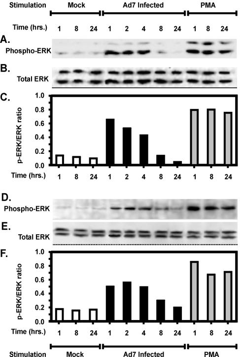 FIG. 5.