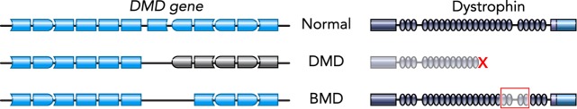 FIGURE 3.