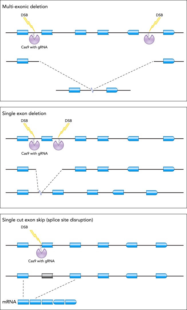 FIGURE 4.