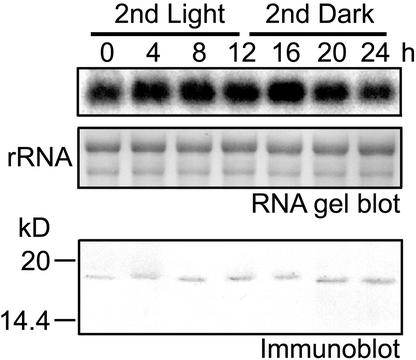 Figure 7.