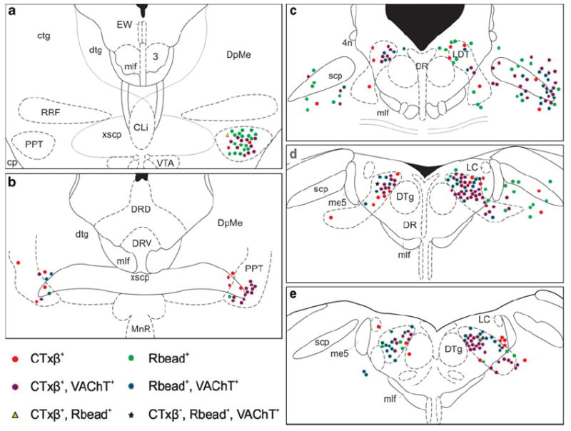 Fig. 6