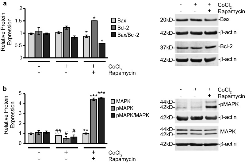 Fig. 6