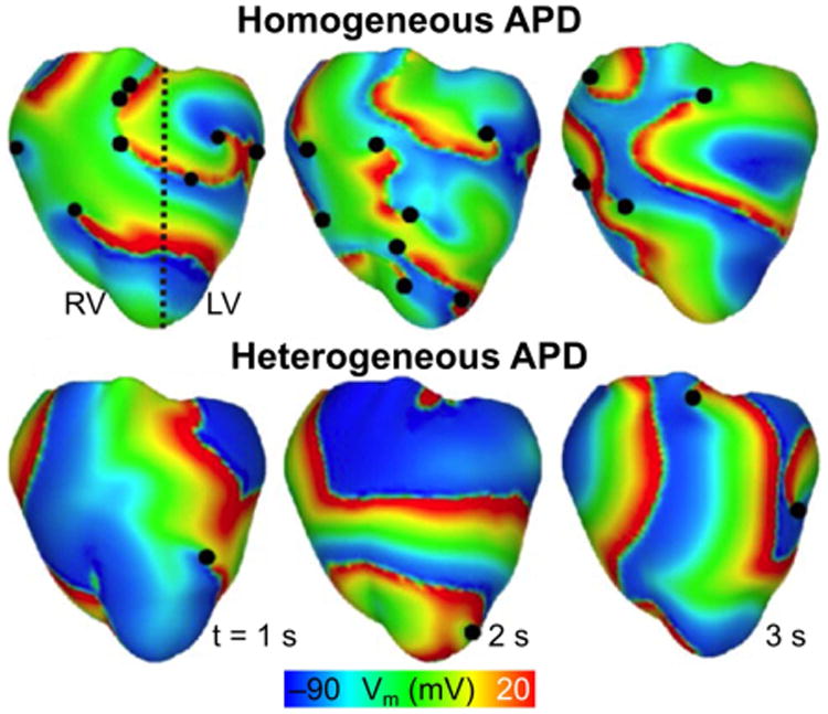 Fig. 4