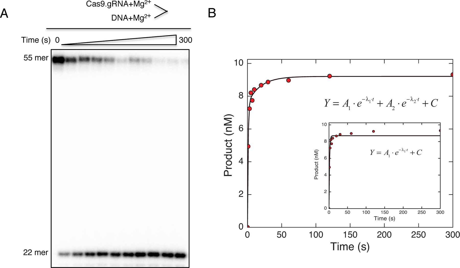 Figure 5.