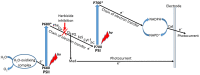 Figure 24
