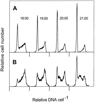 FIG. 3