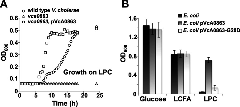 FIG 3 