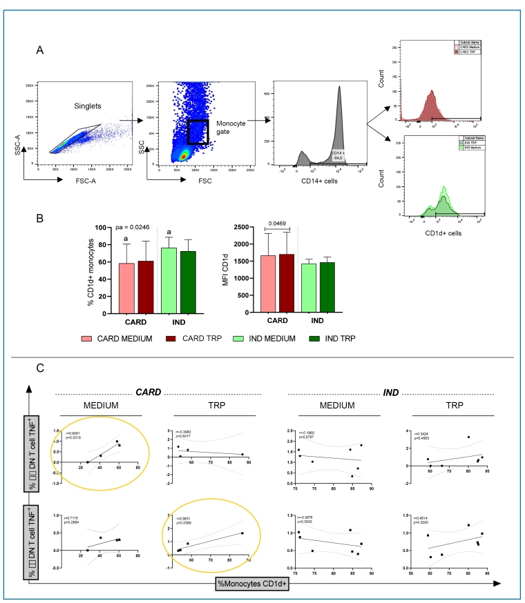 FIGURE 1: