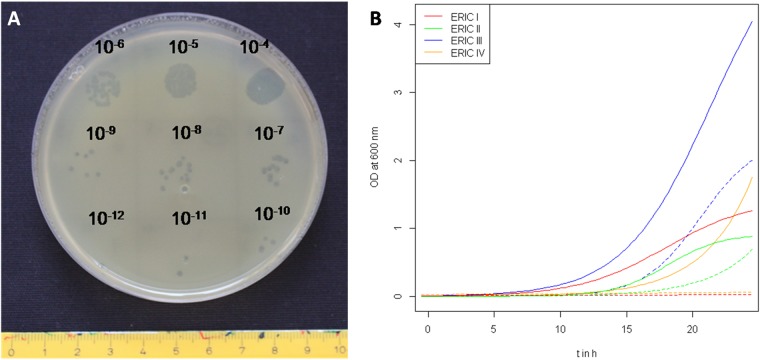 FIG 1