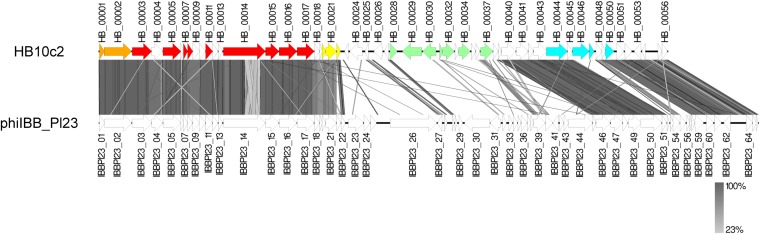 FIG 3