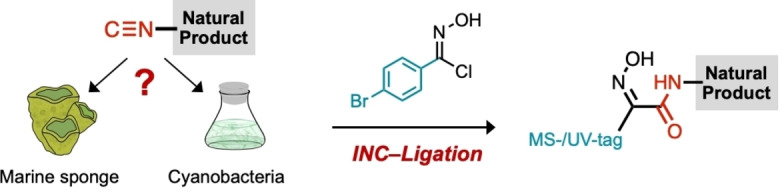 graphic file with name CHEM-29-0-g003.jpg