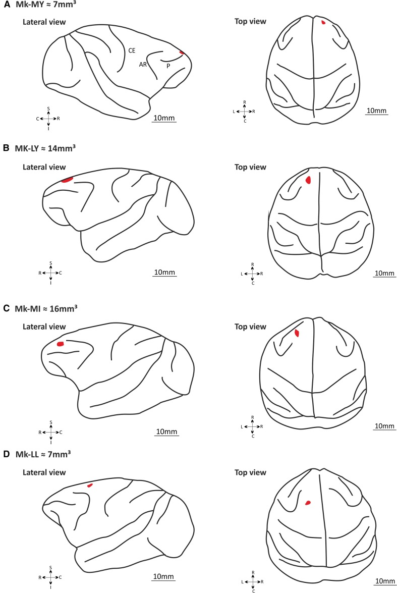 Fig. 1