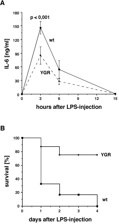 FIG. 6