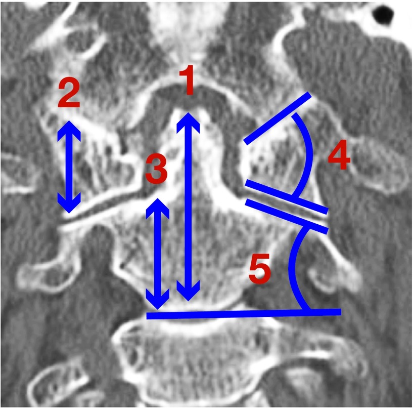 Fig. 1.