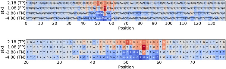 Fig 12