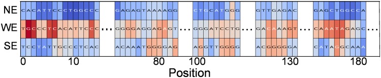 Fig 13